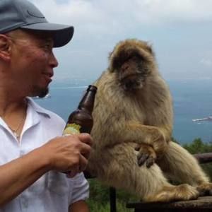 Meet your Posher, Ted